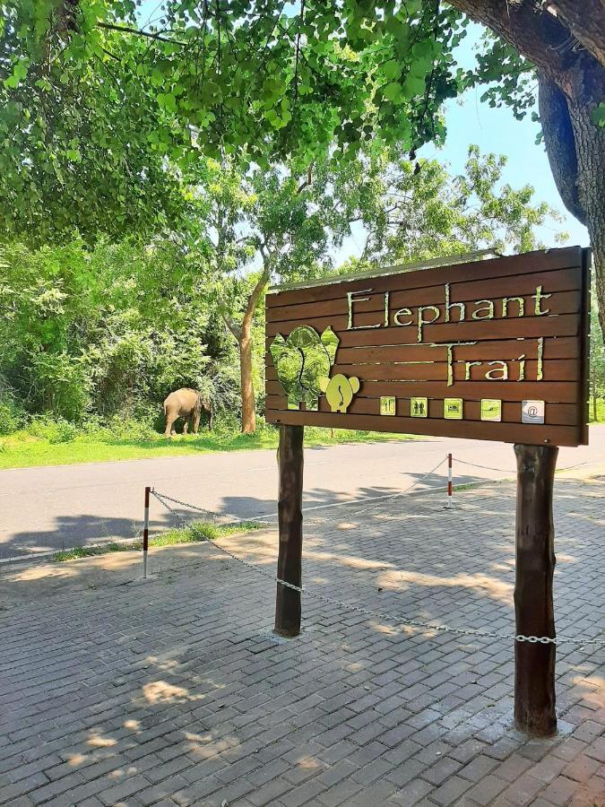 Elephant Trail Udawalawe Exterior foto