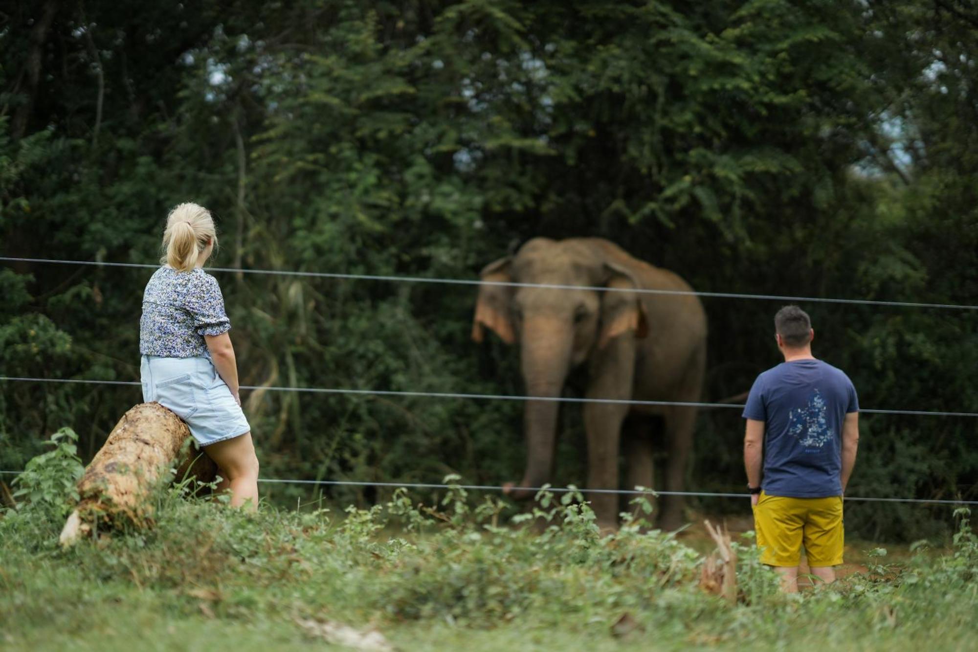 Elephant Trail Udawalawe Exterior foto